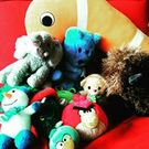 鈴木 八野 法子