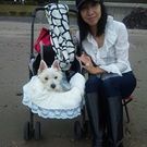 動物介在活動ぷらす