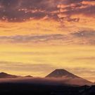 えがおいちばん