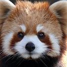 八丈島 きょんた