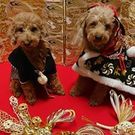 ぷりんたると ママ