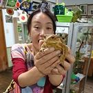 くわもと てるみ