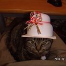 志賀　　桑弓雄