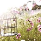 鴨志田　沙織　かもし