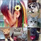 ソラネコせたな