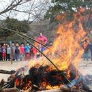 たんぽぽ 保育園