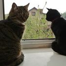 Sayuri Takase-Gorzelnik