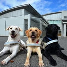 公益財団法人 東日本盲導犬協会