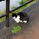 粒あん団子のママ