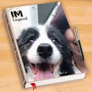 Rika Niimura Taniguchi