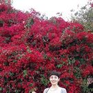 上條 アグネス統仕香