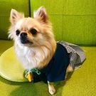 ハッピー スペース