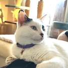 のりじゅんコマ