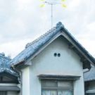 水戸の キワマリ荘