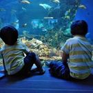 ヤエノ キョウコ