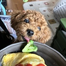 出崎モンジュモン