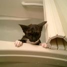 そりまち ひろふみ