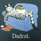 キャット ダディー