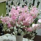 カミクラ ユカリ