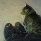 ふくだ ゆういち