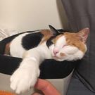 やまぐち ひろみ