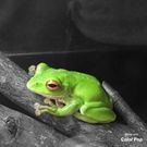 ヤマモト ヤスシ