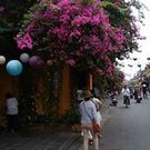 ヤマモト ヤエミ