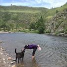 Manami Tomioka Benner