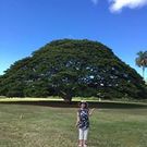 みやざき ようこ