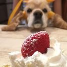 Misako Yamazaki Kitagawa