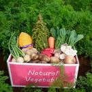 Natural Vegetable