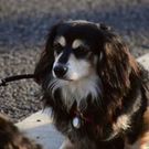 志伊良 チェロキー