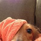 むらかみ まさこ