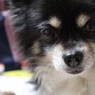 Yukari Okabe Komiyama