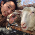 Animal Liberator.net