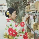 やまなか やすこ