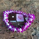 “Anelatte House” Mai