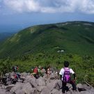 いいだ しんいちろう