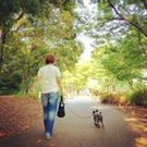 つねいし みつこ