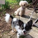 小夏ママ&翔太パパ