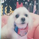 ゆうこりんばあば