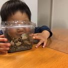 たかむら あゆみ