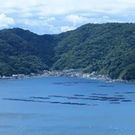 映画 凪の海