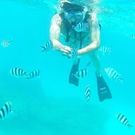 中橋 ダビッド聡一