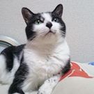 つかもと ゆりこ