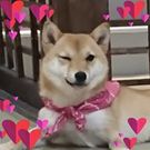 かたやま みどり