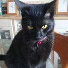 エンジェルスマイル真美