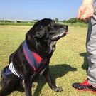 Keiko Yamagishi Kobayashi