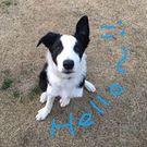 Lui che si chiama Lui