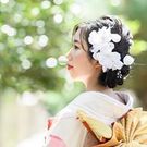 ブルックス ひかり